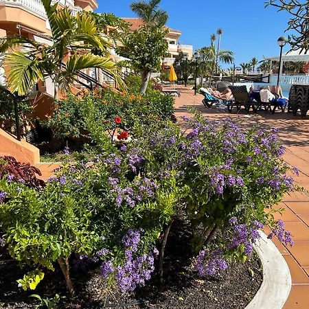 Apartament Comfort En Tenerife Royal Gardens